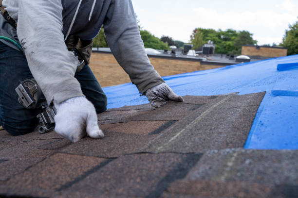 Roof Waterproofing Services in Canton, OH