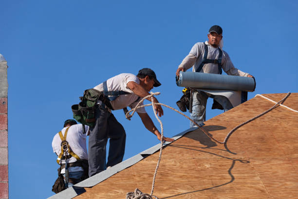 Quick and Trustworthy Emergency Roof Repair Services in Canton, OH